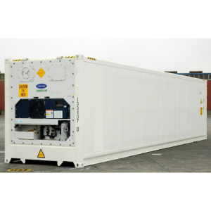 Container frigorifique 40 pieds-neuf