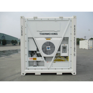 Container 20 pieds reefer-neuf