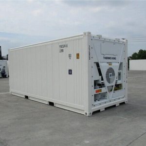 Container 20 pieds reefer-neuf