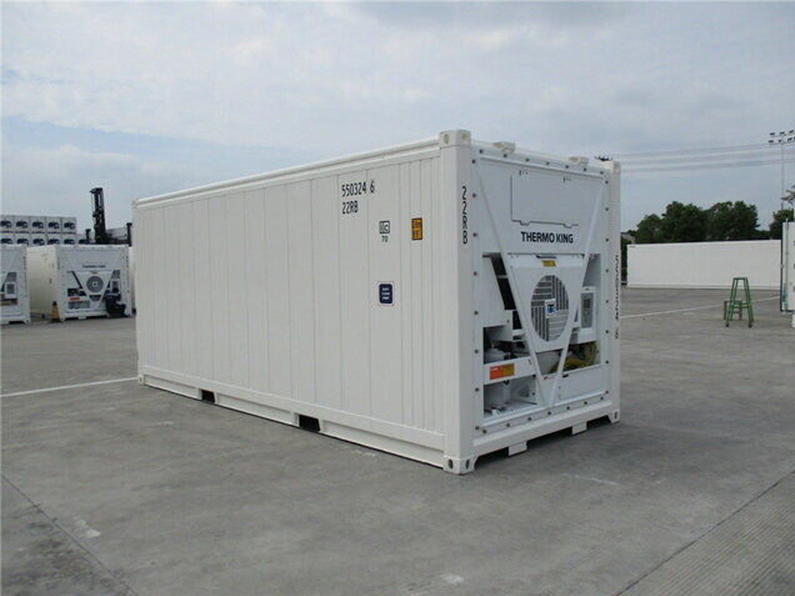 Container 20 pieds reefer-neuf