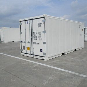 Container 20 pieds reefer-neuf