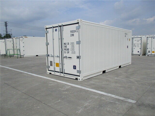 Container 20 pieds reefer-neuf