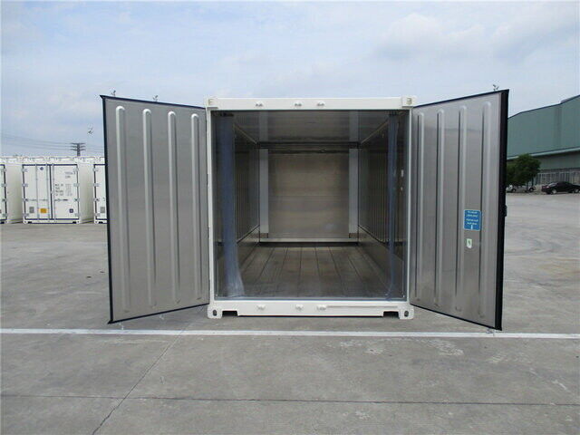 Container 20 pieds reefer-neuf